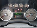 Ford F-350 Fx4/King Ranch/Lariat/Xl/Xlt 1FTWW33R49EA77443 photo