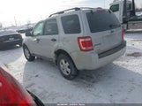 Ford Escape Xlt 1FMCU03G49KA65375 снимка