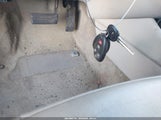 Miniaturka zdjęcia 11