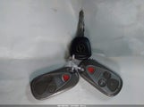 Miniaturka zdjęcia 11