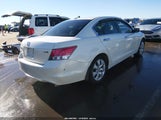 Honda Accord 3.5 Ex-L 1HGCP3F87AA029726 photo