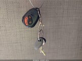 Miniaturka zdjęcia 11