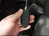 Miniaturka zdjęcia 11