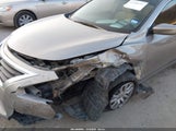 Miniaturka zdjęcia 6