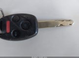 Miniaturka zdjęcia 11