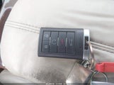 Miniaturka zdjęcia 11