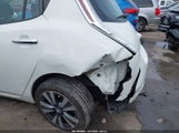 Miniaturka zdjęcia 6