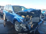 Ford Escape Xlt 1FMCU9DG8BKA18780 снимка
