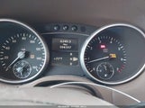 Miniaturka zdjęcia 7