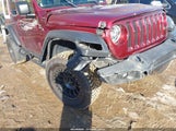 Jeep Wrangler Unlimited Islander 4X4 1C4HJXDG1MW590180 снимка