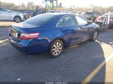 Toyota Camry Xle 4T1BE46K68U231219 photo