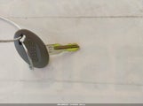 Miniaturka zdjęcia 11