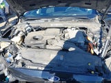 Miniaturka zdjęcia 10