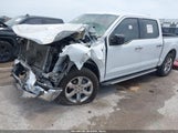 Ford F-150 Xlt 1FTFW1E55PKD96864 снимка