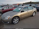 Nissan Maxima 3.5 Se 1N4BA41EX4C811919 снимка