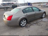 Nissan Maxima 3.5 Se 1N4BA41EX4C811919 снимка
