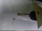 Miniaturka zdjęcia 11