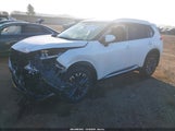 Nissan Rogue Platinum Fwd JN8BT3DC1RW382107 fotografie