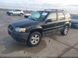 Ford Escape Xlt/Xlt Sport 1FMYU93176KA72287 fotografie