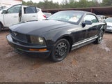 Ford Mustang 1ZVHT84N655256858 снимка