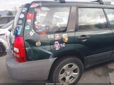 Miniaturka zdjęcia 6