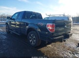 Ford F-150 Fx4 1FTFX1EFXCFA38040 снимка
