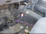 Miniaturka zdjęcia 11