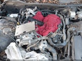 Miniaturka zdjęcia 10