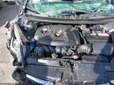 Hyundai Elantra Limited 5NPDH4AE5EH479392 снимка