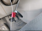 Miniaturka zdjęcia 11