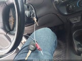 Miniaturka zdjęcia 11
