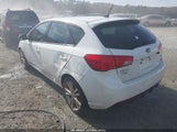 Miniaturka zdjęcia 3