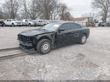 Miniaturka zdjęcia 2