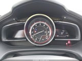 Miniaturka zdjęcia 7