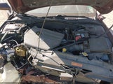 Miniaturka zdjęcia 10