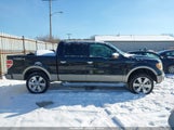 Ford F-150 Fx4/Harley-Davidson/King Ranch/Lariat/Platinum/Xl/Xlt 1FTFW1EV5AFC44504 fotografie