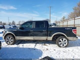 Ford F-150 Fx4/Harley-Davidson/King Ranch/Lariat/Platinum/Xl/Xlt 1FTFW1EV5AFC44504 fotografie