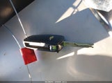 Miniaturka zdjęcia 11
