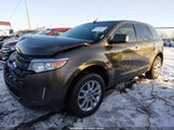 Miniaturka zdjęcia 2