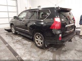 Lexus Gx 460 Premium JTJJM7FXXC5037390 fotografie