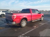 Miniaturka zdjęcia 4