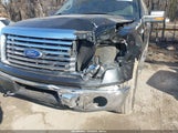 Ford F-150 Fx4/Harley-Davidson/King Ranch/Lariat/Platinum/Xl/Xlt 1FTFW1EVXAFB22737 photo
