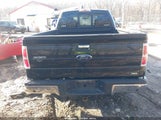 Ford F-150 Fx4/Harley-Davidson/King Ranch/Lariat/Platinum/Xl/Xlt 1FTFW1EVXAFB22737 photo