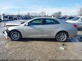 Chevrolet Malibu 1Lt 1G11C5SL2EF262101 снимка