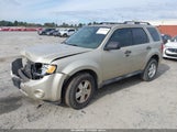 Ford Escape Xlt 1FMCU0D73BKB70526 снимка