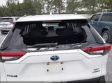 Toyota Rav4 Hybrid Xle JTMRWRFV7PD175507 fotografie