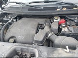 Miniaturka zdjęcia 10