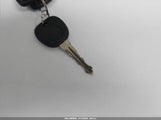 Miniaturka zdjęcia 11