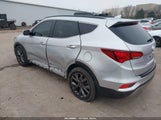 Miniaturka zdjęcia 3