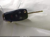 Miniaturka zdjęcia 11